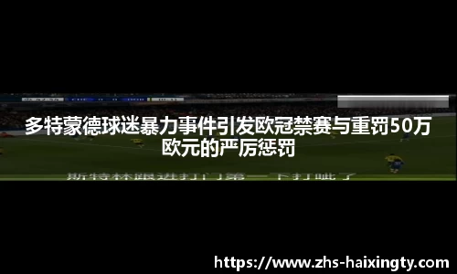 多特蒙德球迷暴力事件引发欧冠禁赛与重罚50万欧元的严厉惩罚